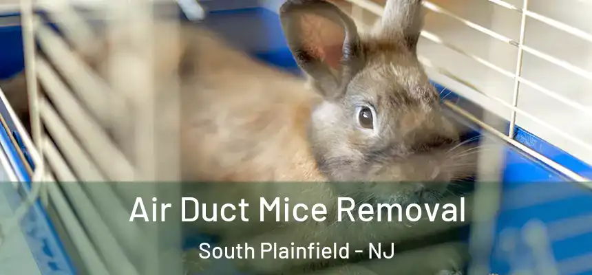  Air Duct Mice Removal South Plainfield - NJ