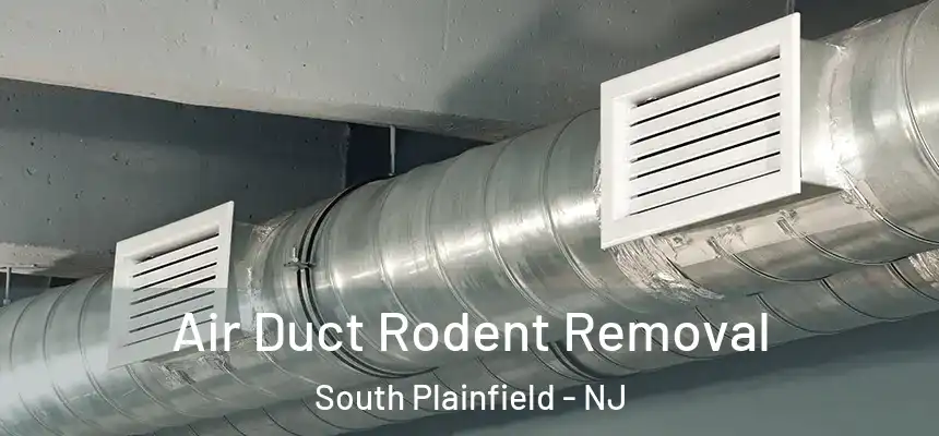  Air Duct Rodent Removal South Plainfield - NJ