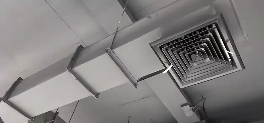 Our Pest Removal From Ducts Services in South Plainfield, NJ