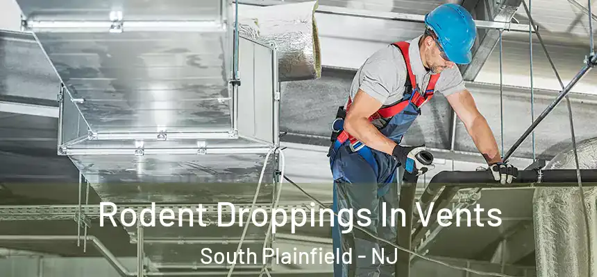  Rodent Droppings In Vents South Plainfield - NJ