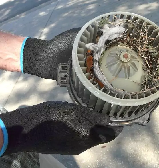 About Air Duct Rat Removal in South Plainfield, NJ