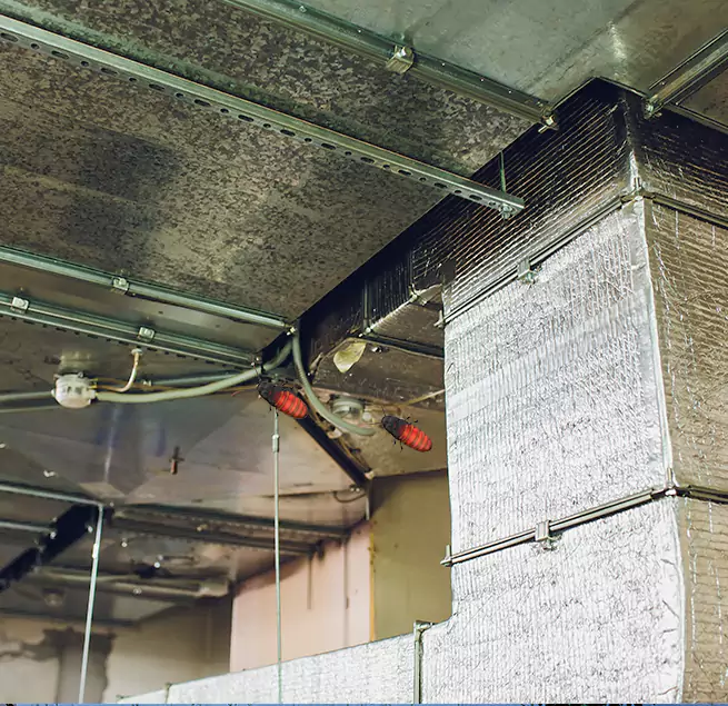 Why Homeowners & Businesses Trust Us in South Plainfield, NJ?